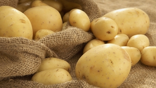 Potato